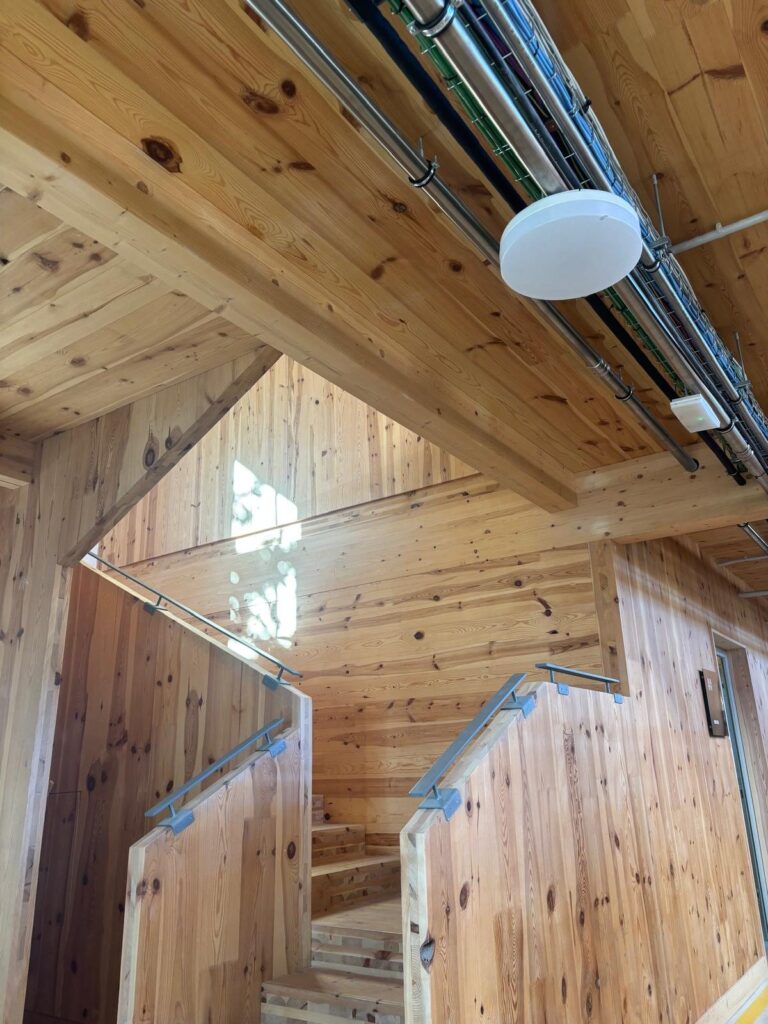 Estructura interior de madera y techo del Hub Forestal del CTFC